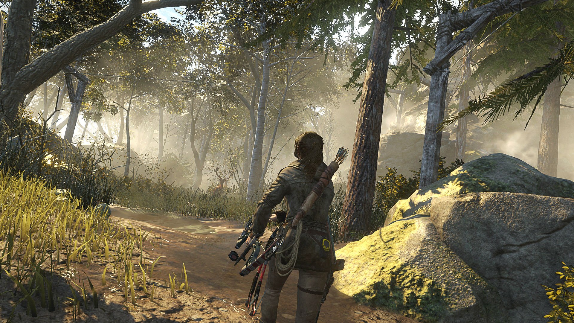rise, Tomb, Raider, Lara, Croft, Action, Adventure, Fantasy, Warrior Wallpaper