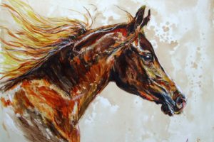 beauty, Art, Artist, Anna, Sidi yacoub, Painting, And039free, Arabian, Horseand039