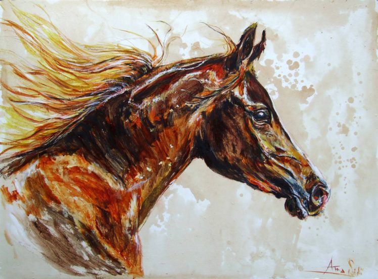 beauty, Art, Artist, Anna, Sidi yacoub, Painting, And039free, Arabian, Horseand039 HD Wallpaper Desktop Background