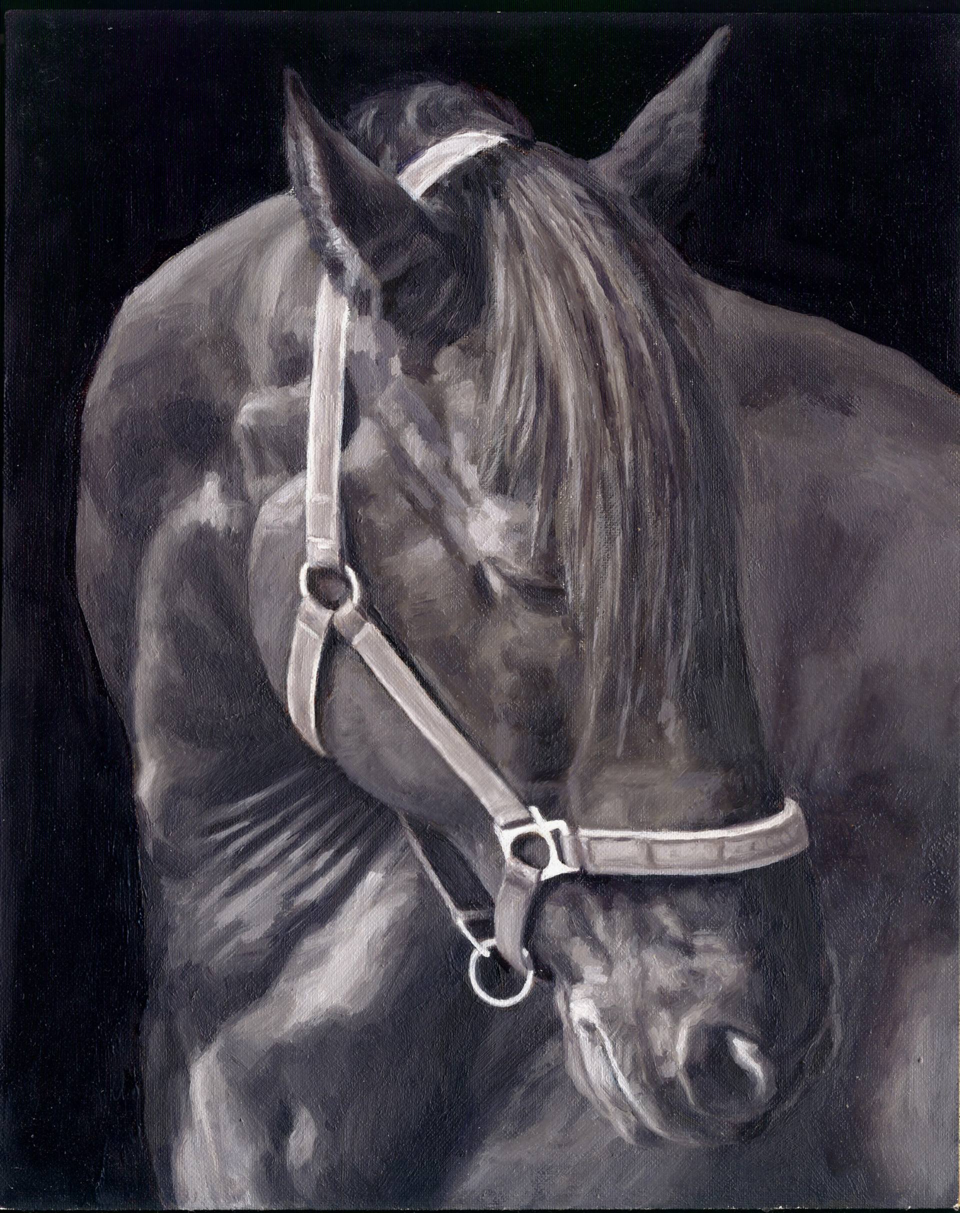 beauty, Horse, Art, Artist, Monica, Brufton, Oil, Painting, And039sky Wallpaper