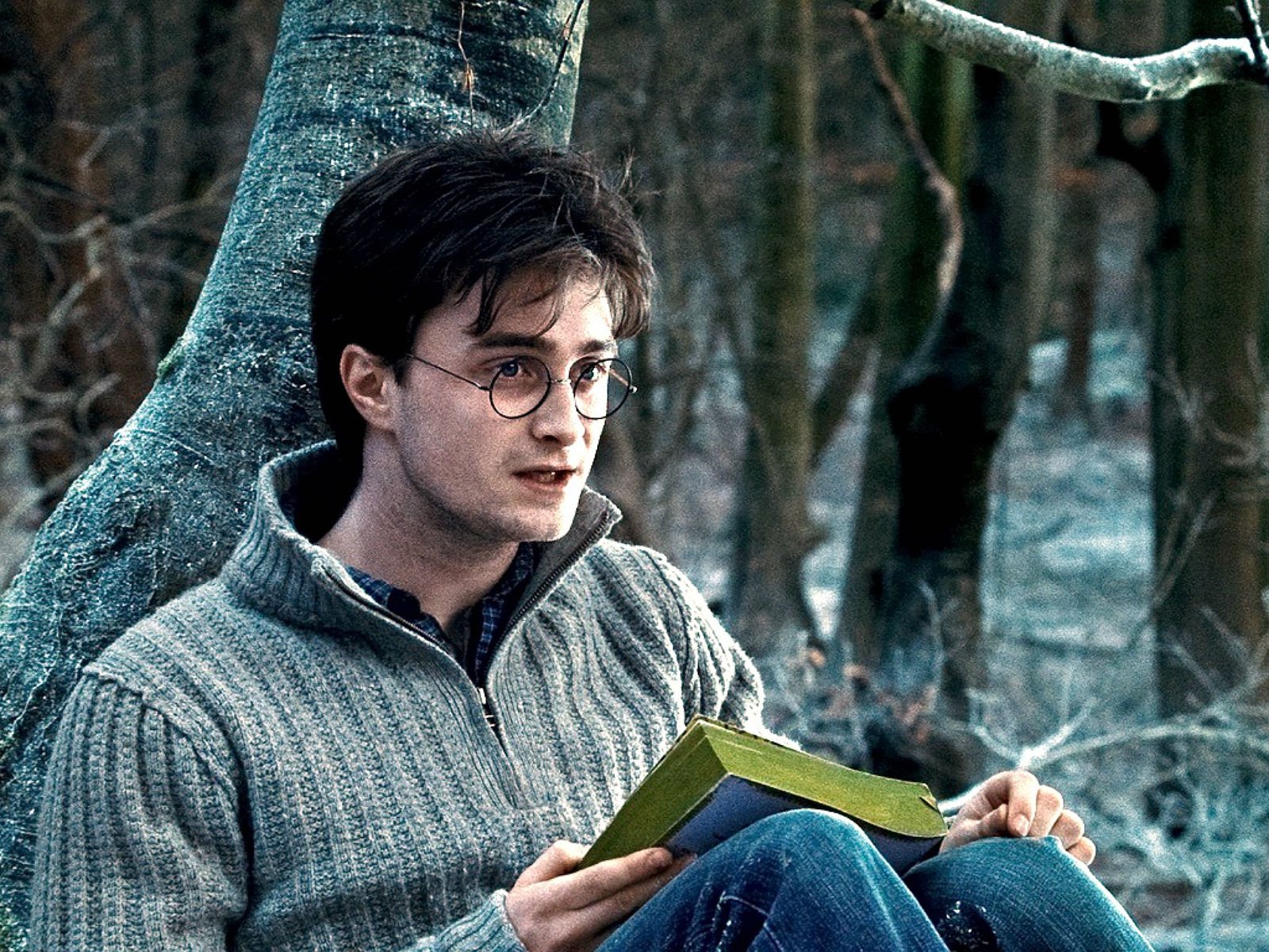 harry, Potter, Fantasy, Adventure, Witch, Series, Wizard, Magic Wallpaper