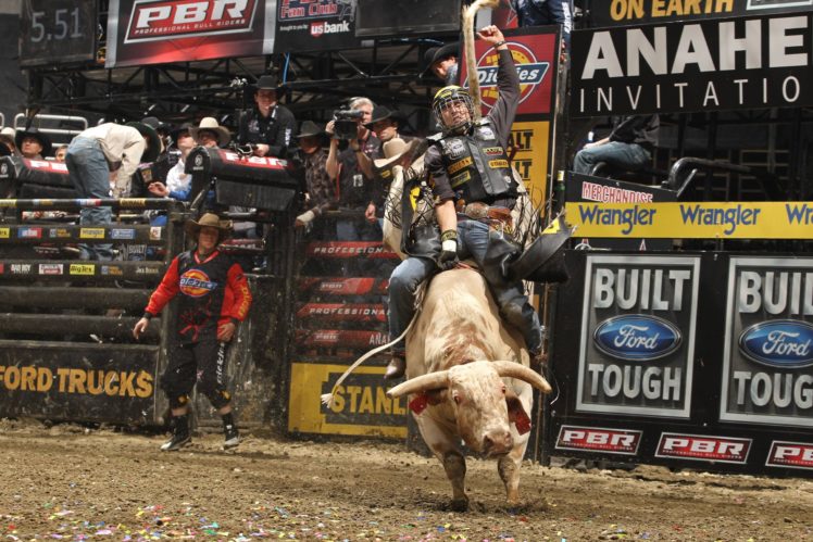 bull, Riding, Bullrider, Cowboy, Western, Cow, Extreme, Rodeo HD Wallpaper Desktop Background