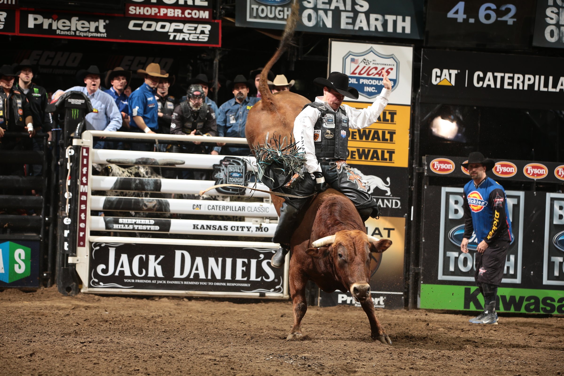 bull, Riding, Bullrider, Cowboy, Western, Cow, Extreme, Rodeo Wallpaper