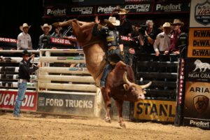 bull, Riding, Bullrider, Cowboy, Western, Cow, Extreme, Rodeo