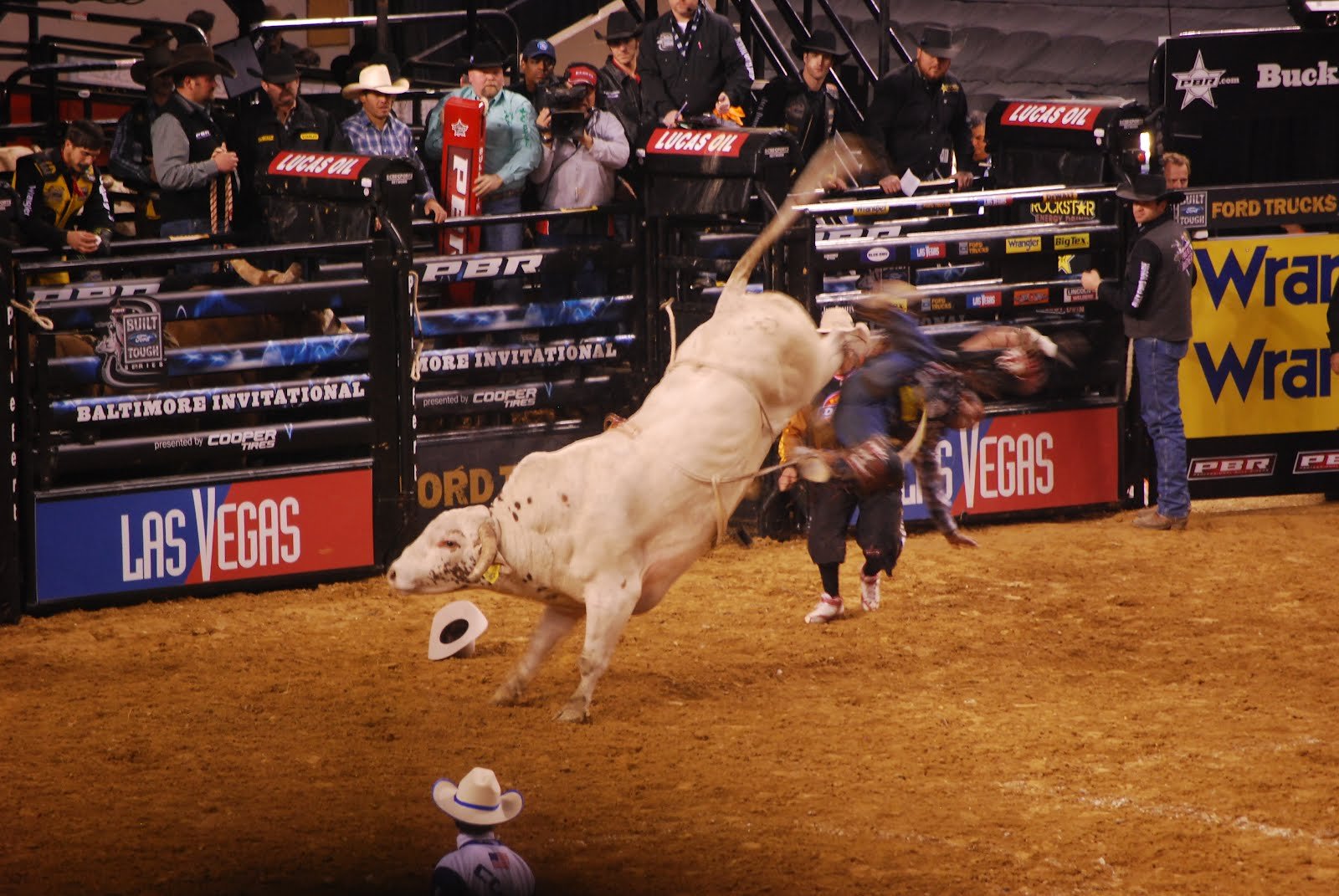 bull, Riding, Bullrider, Cowboy, Western, Cow, Extreme, Bull, Rodeo Wallpaper