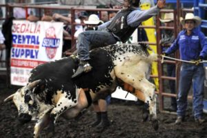 bull, Riding, Bullrider, Cowboy, Western, Cow, Extreme, Bull, Rodeo