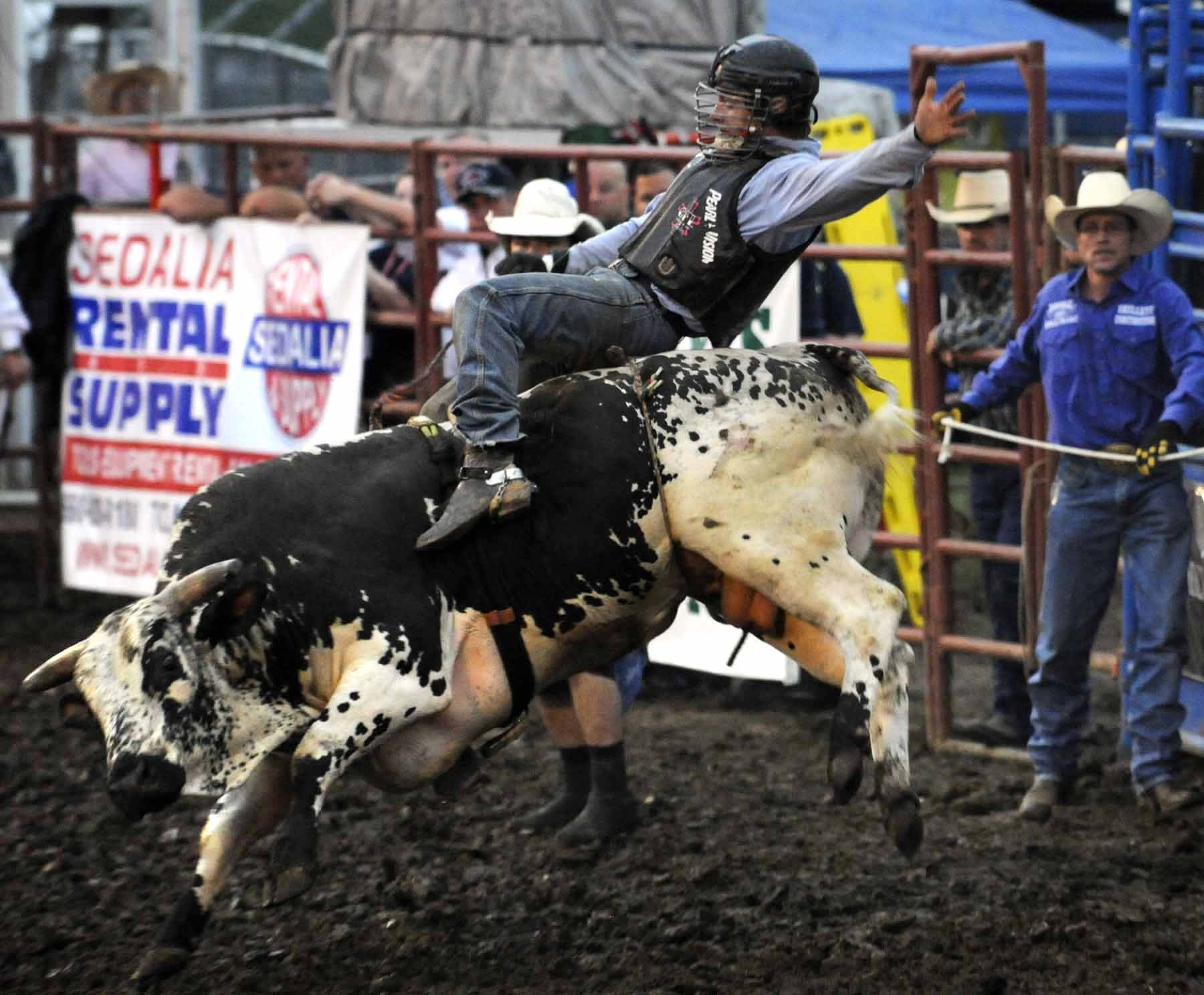 bull, Riding, Bullrider, Cowboy, Western, Cow, Extreme, Bull, Rodeo