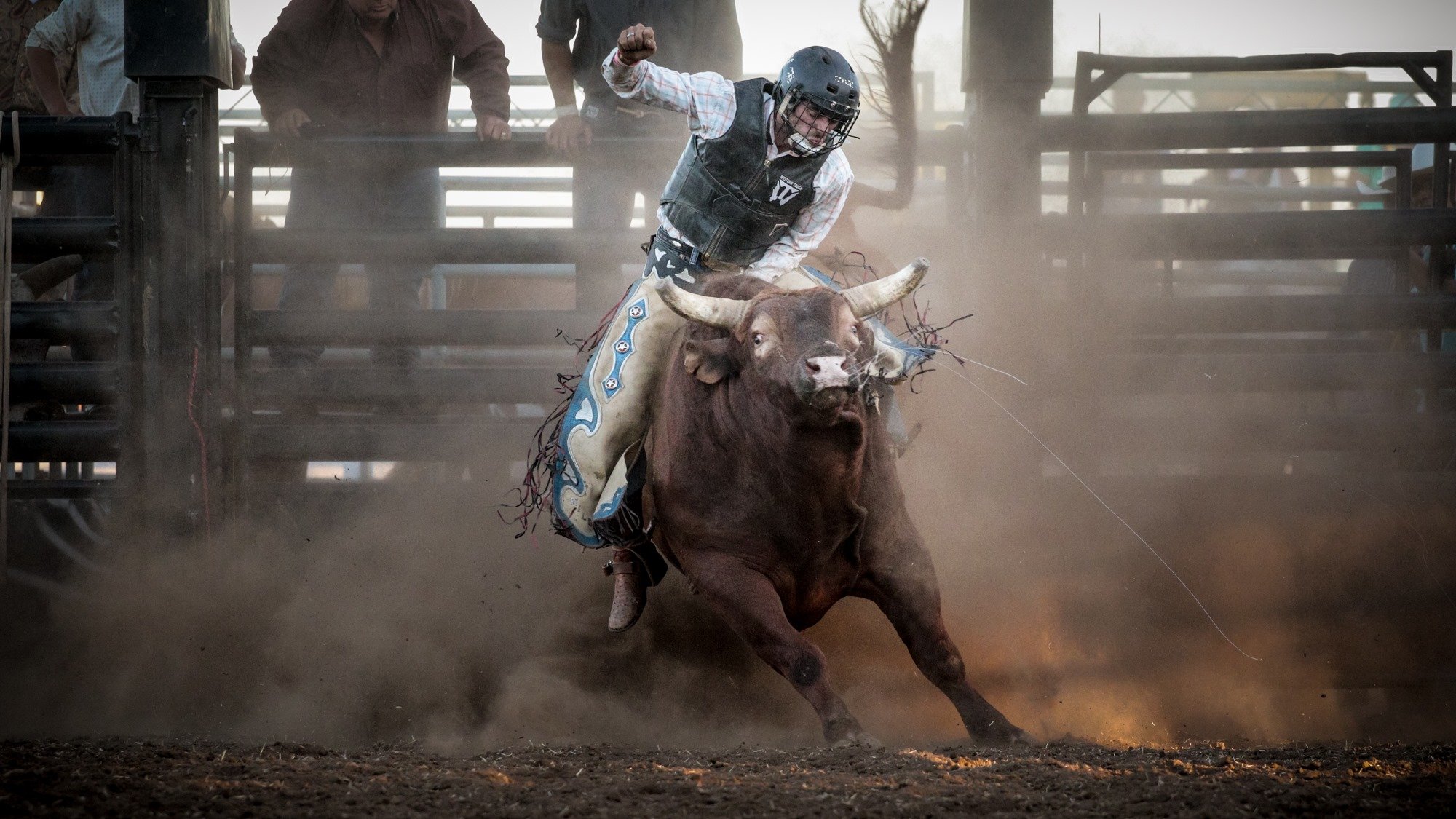 bull, Riding, Bullrider, Cowboy, Western, Cow, Extreme, Bull, Rodeo Wallpaper