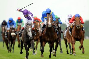 horse, Racing, Race, Equestrian, Sport, Jockey, Horses