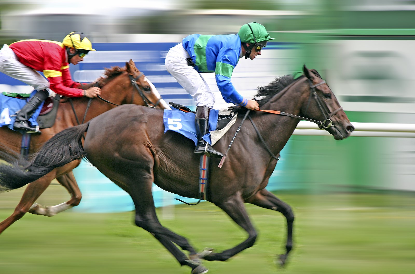 horse, Racing, Race, Equestrian, Sport, Jockey, Horses Wallpaper