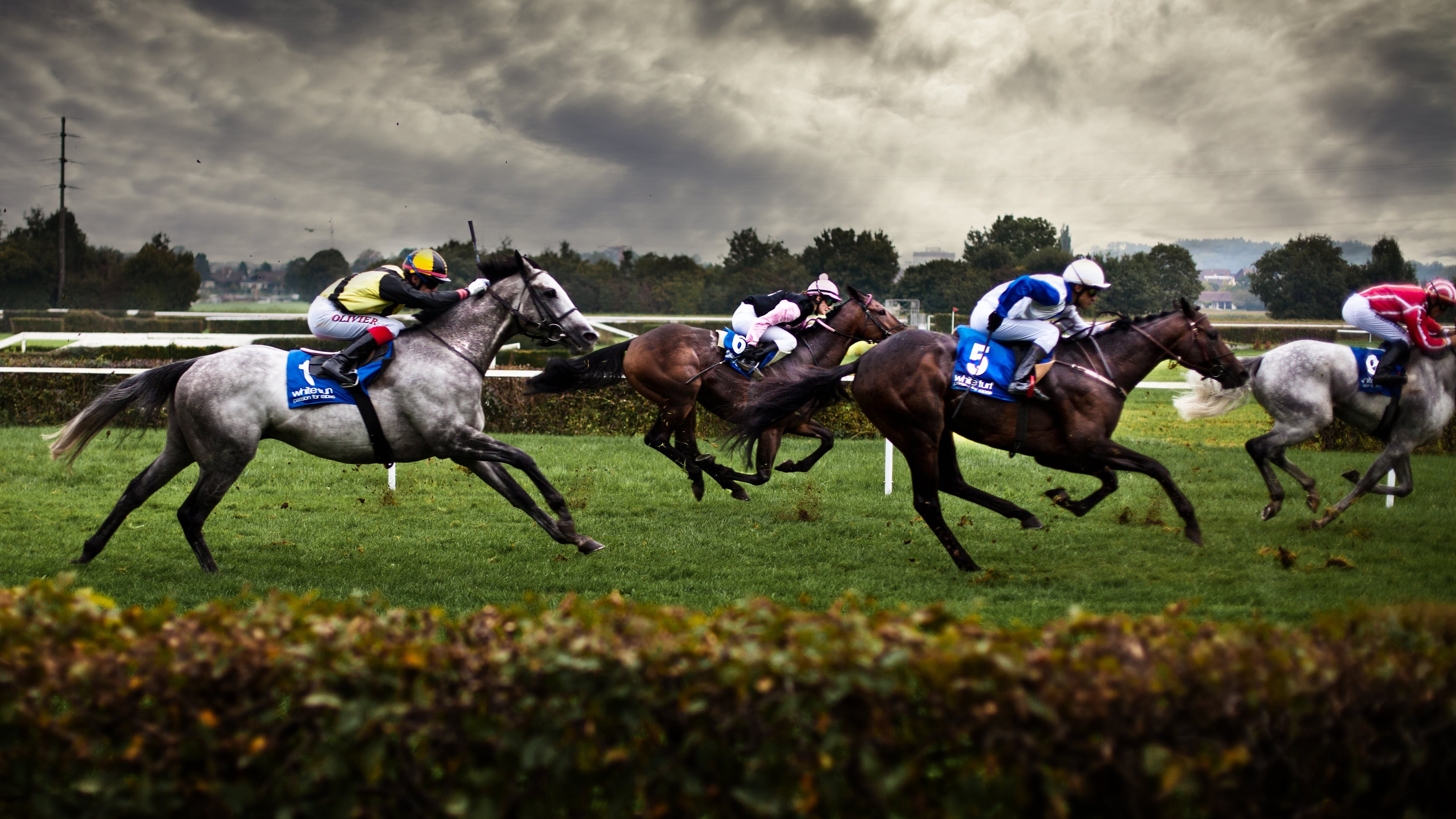 horse, Racing, Race, Equestrian, Sport, Jockey, Horses Wallpaper