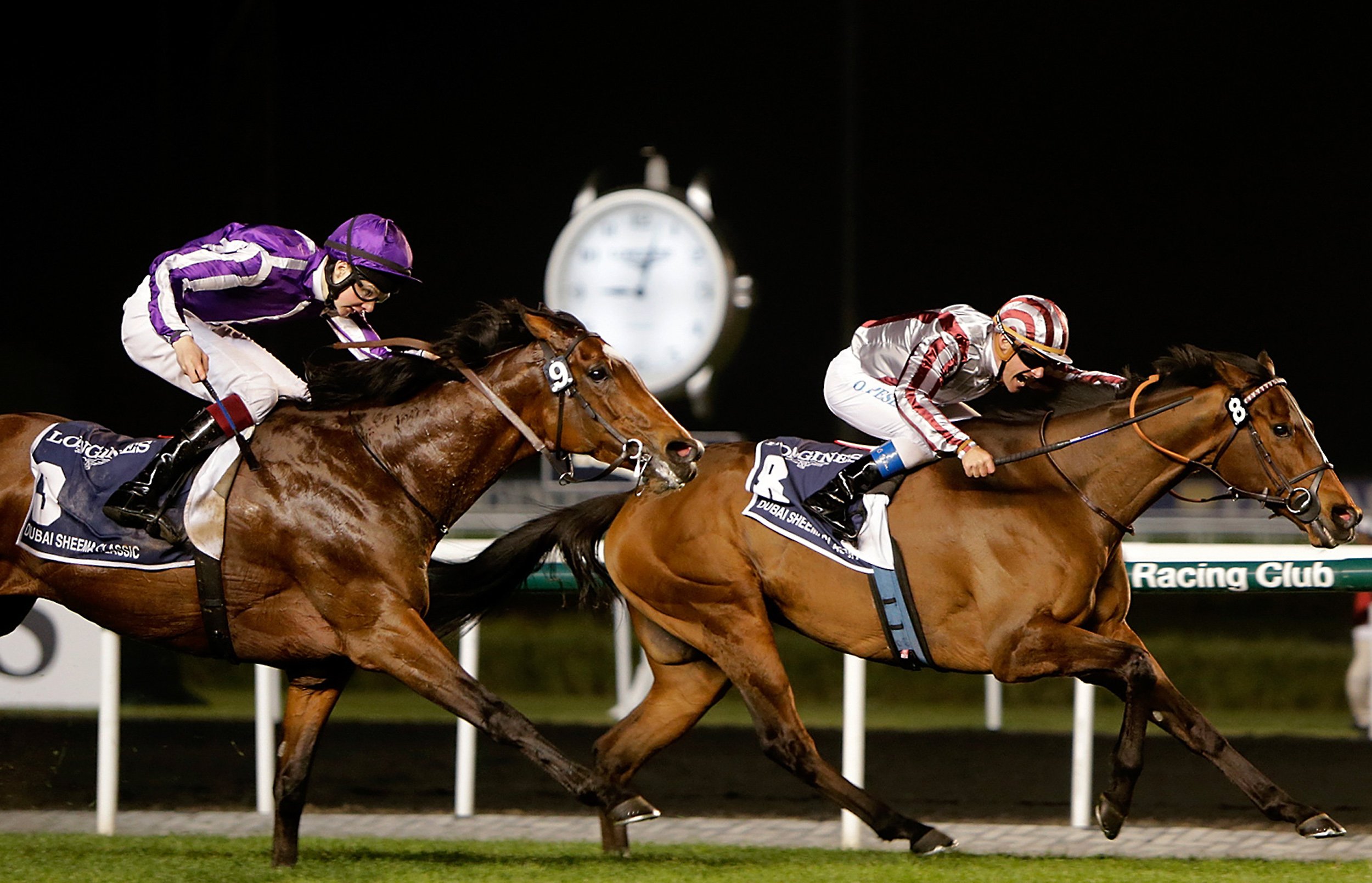 horse, Racing, Race, Equestrian, Sport, Jockey, Horses Wallpaper