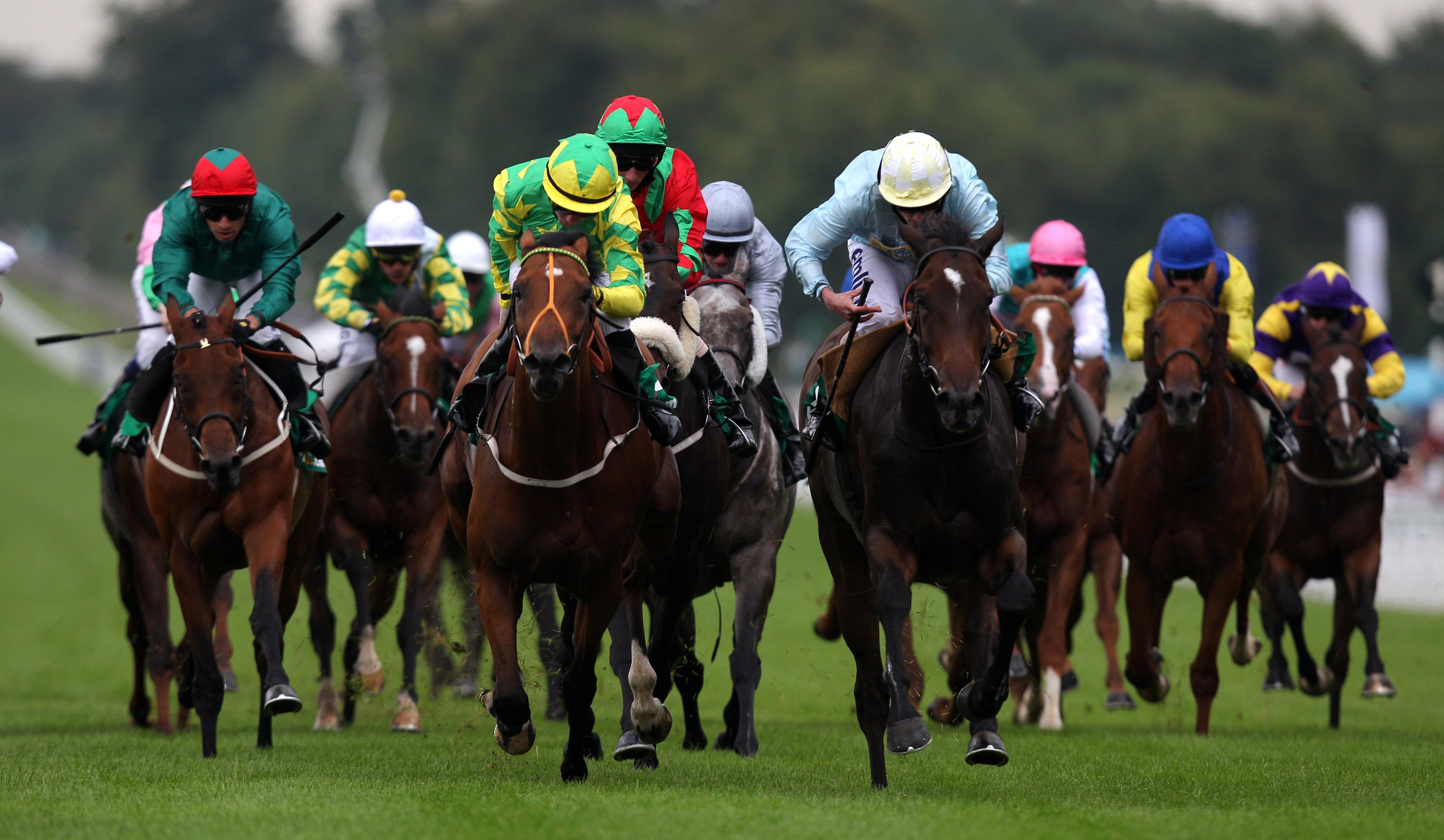 Horse race betting rules new to investing where to start