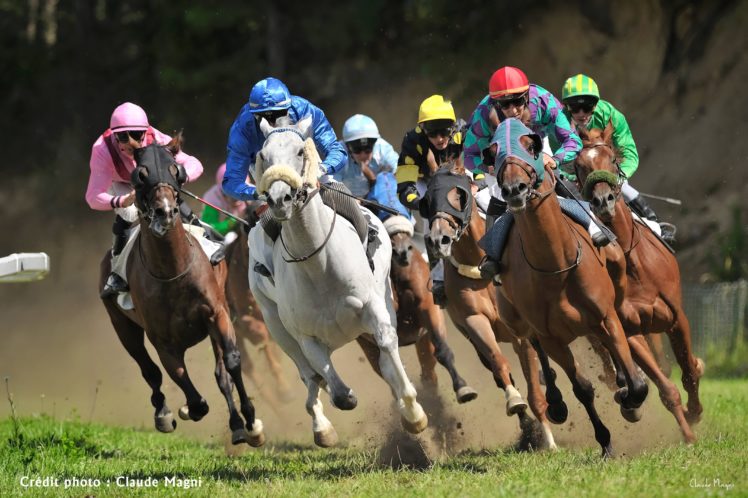 100+] Horse Racing Wallpapers | Wallpapers.com