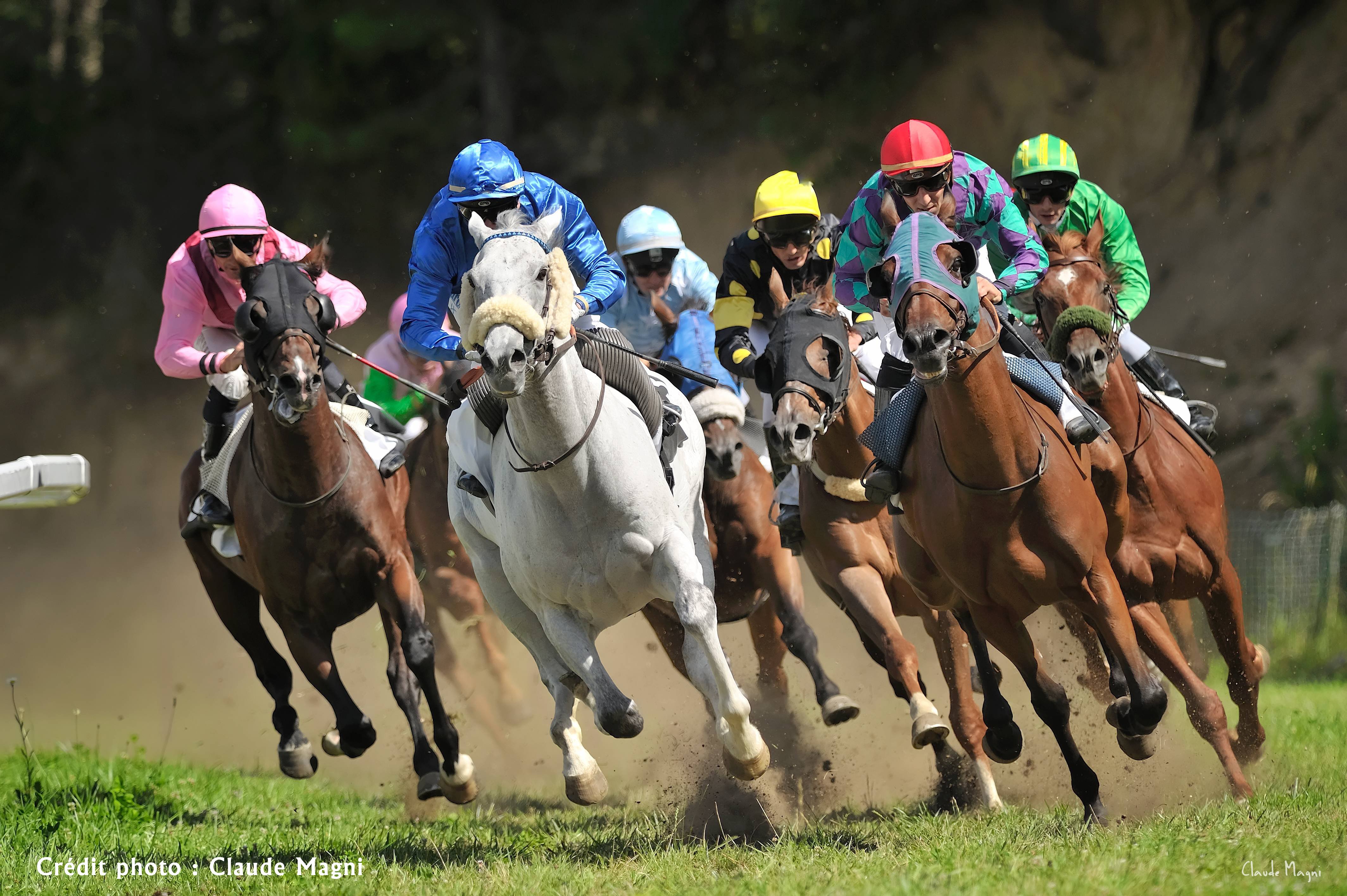 horse travel racing