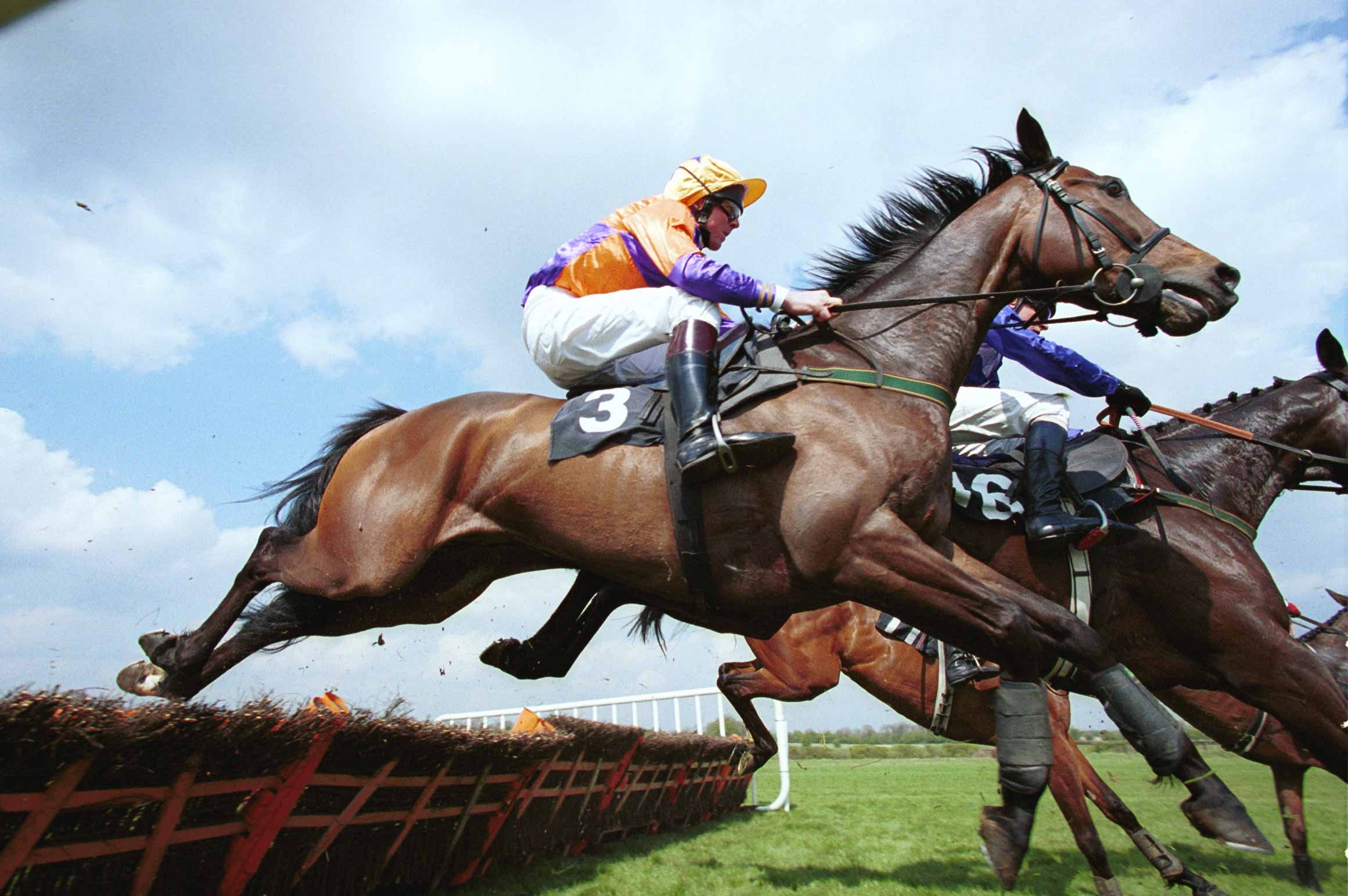 horse, Racing, Race, Equestrian, Sport, Jockey, Horses Wallpaper