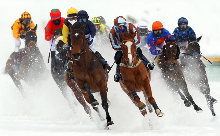 horse, Racing, Race, Equestrian, Sport, Jockey, Horses Wallpapers HD /  Desktop and Mobile Backgrounds