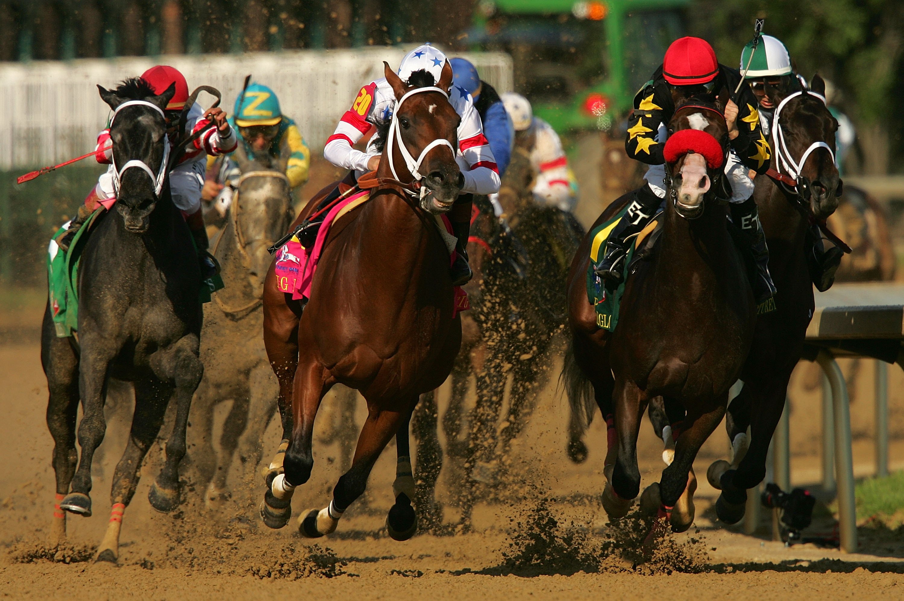 horse, Racing, Race, Equestrian, Sport, Jockey, Horses Wallpaper