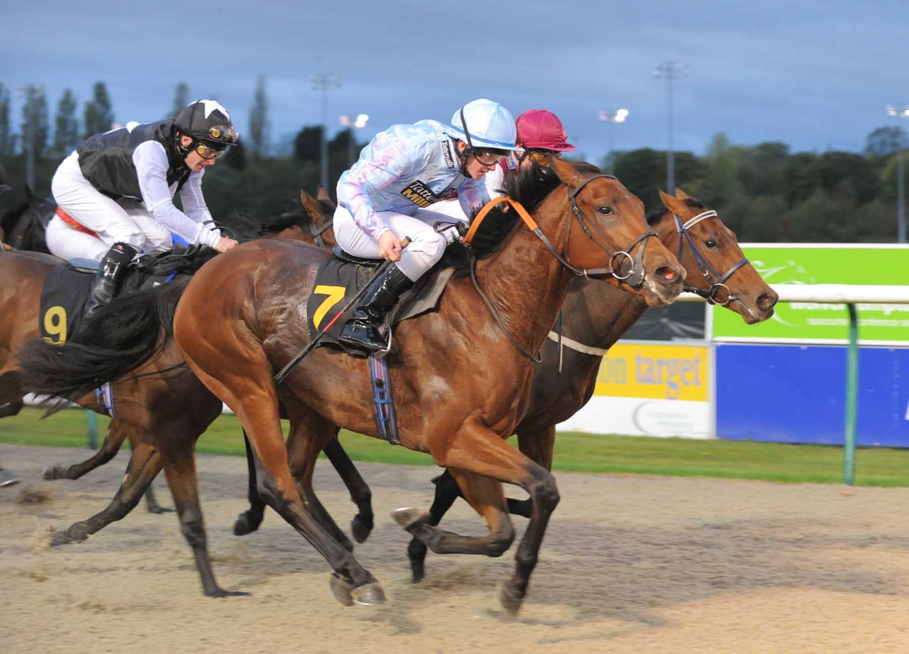 horse, Racing, Race, Equestrian, Sport, Jockey, Horses Wallpaper