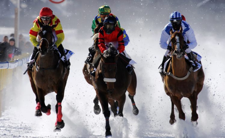 horse, Racing, Race, Equestrian, Sport, Jockey, Horses HD Wallpaper Desktop Background