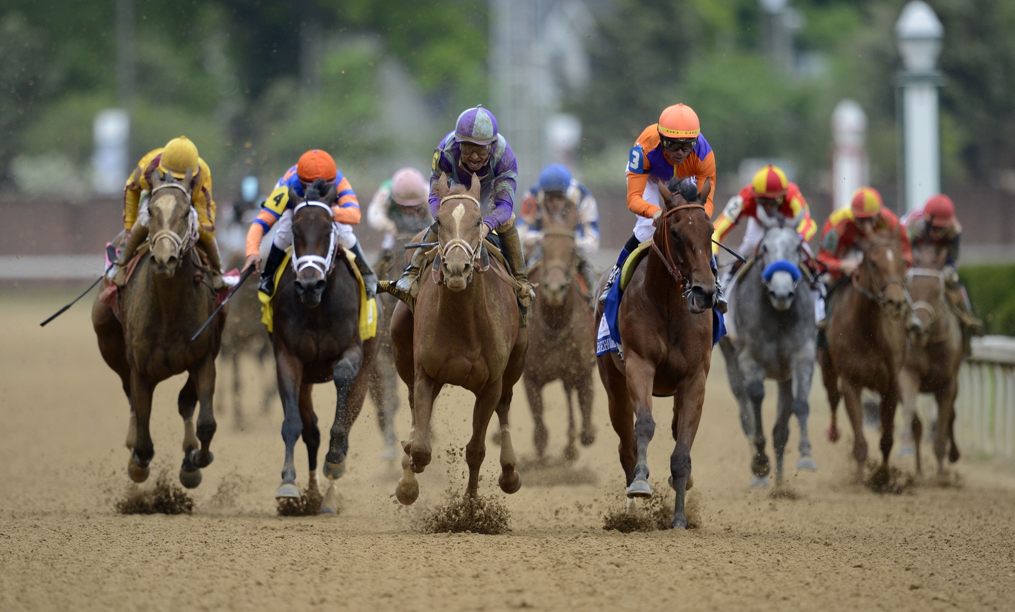 2013, Kentucky, Derby, Horse, Horses, Sport, Sports, Race, Racing Wallpaper