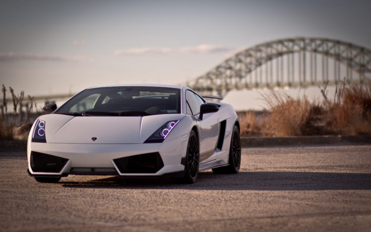 white, Lamborghini, Gallardo HD Wallpaper Desktop Background