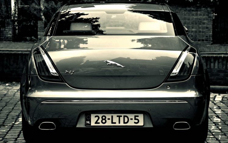 cool, Guy ,  a2zrg ,  58 HD Wallpaper Desktop Background