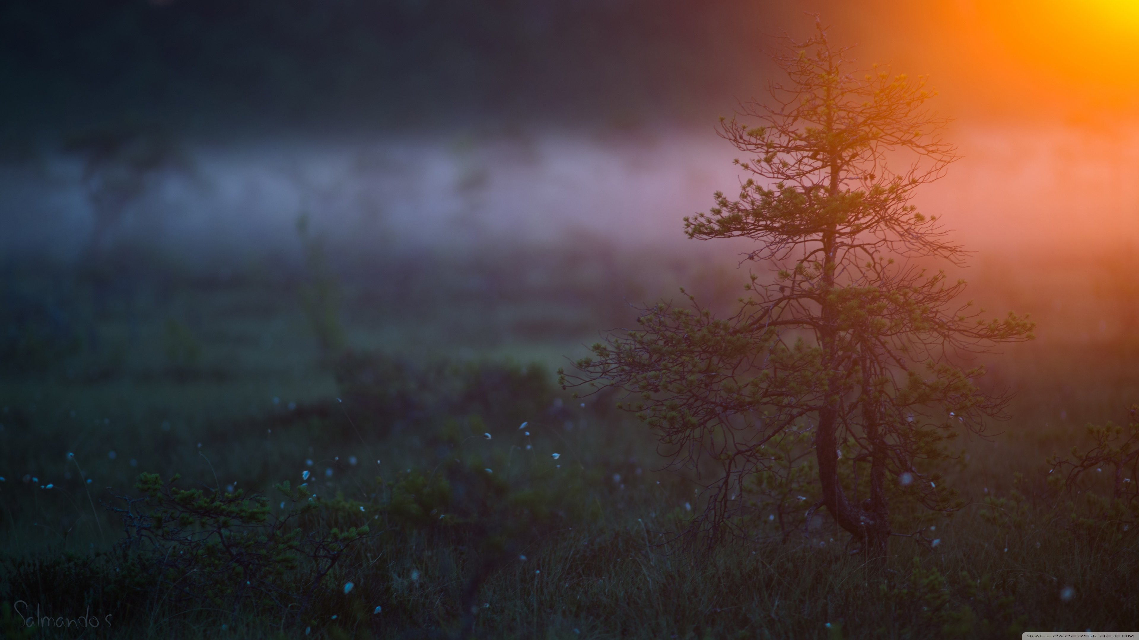 morning, Light, 6 wallpaper 3840x2160 Wallpaper