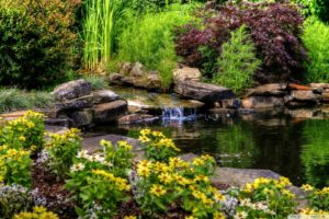 small, Pond, With, Flowers wallpaper 1920×1080