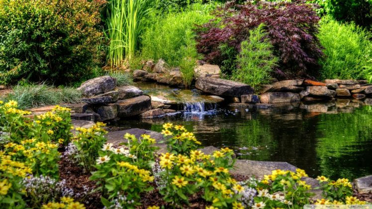 small, Pond, With, Flowers wallpaper 1920×1080 HD Wallpaper Desktop Background
