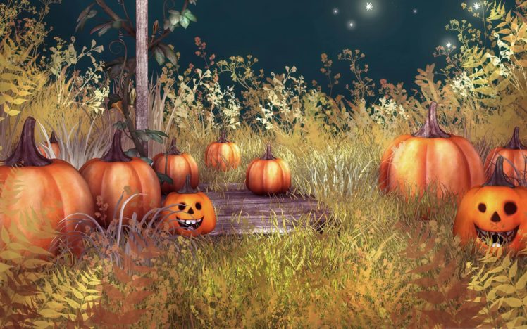 calabazas, Halloween HD Wallpaper Desktop Background