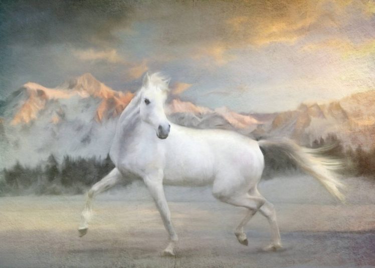 art, Painting, Beauty, Horse, Oil, Beautiful, White HD Wallpaper Desktop Background