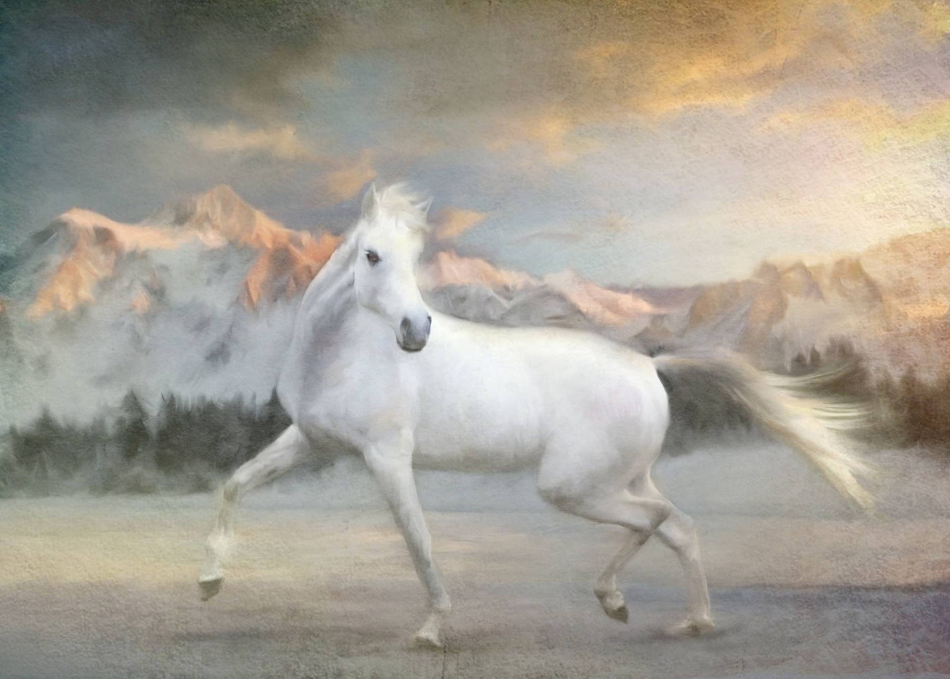 art, Painting, Beauty, Horse, Oil, Beautiful, White Wallpaper