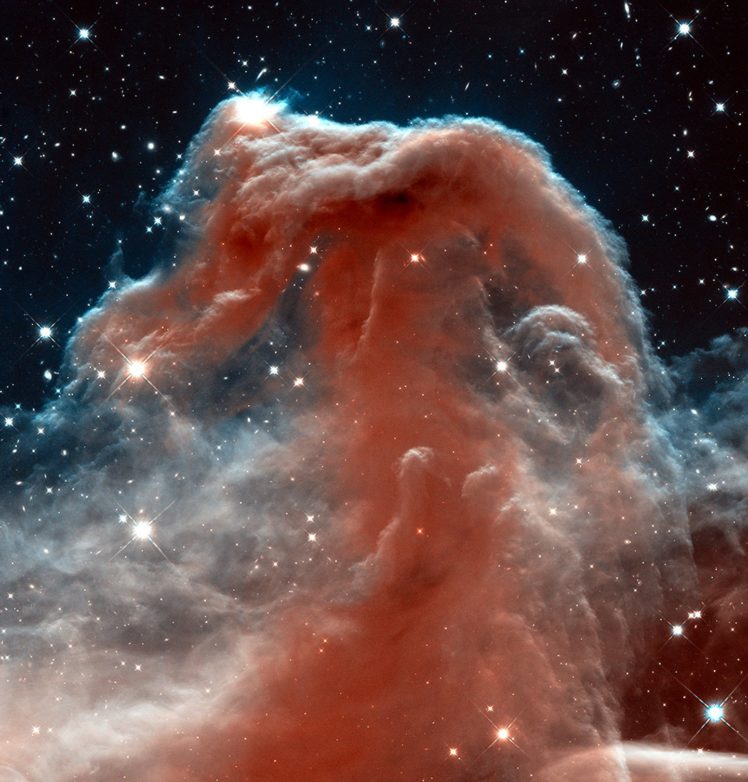 the, Horse, Head, Nebula, Space HD Wallpaper Desktop Background