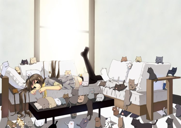 anime, Girl, Animals, Cats, Cute HD Wallpaper Desktop Background