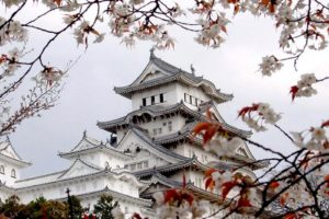 japan, Beauty, Nature, Flower, Beautiful, White, Tree, House