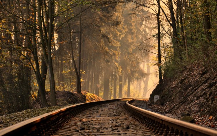 line, In, The, Woods, Forest, Tree, Train, Road HD Wallpaper Desktop Background