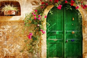 nature, Beauty, Flower, Beautiful, Rose, Door, Green