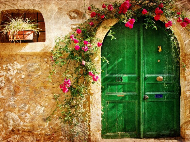 nature, Beauty, Flower, Beautiful, Rose, Door, Green HD Wallpaper Desktop Background