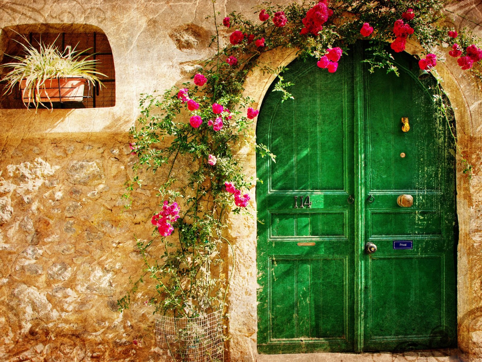 nature, Beauty, Flower, Beautiful, Rose, Door, Green Wallpaper