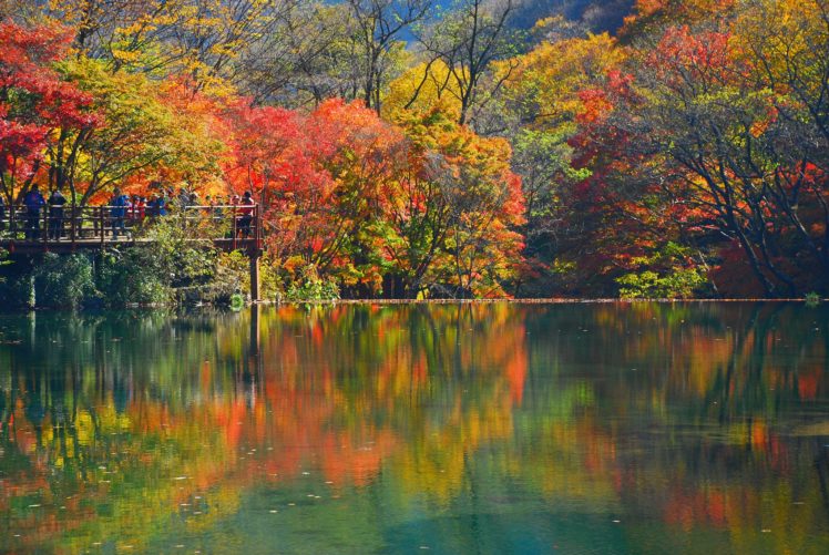 autumn, Lake, Peoples, Beauty, Beautiful, Tree, Forest, Nature HD Wallpaper Desktop Background