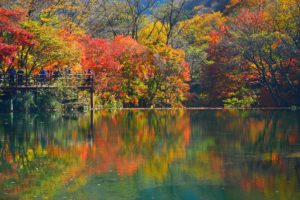 autumn, Lake, Peoples, Beauty, Beautiful, Tree, Forest, Nature