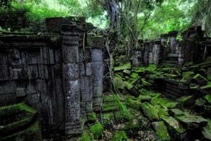 ruins, Decay, Jungle, Trees, Forest, Nature