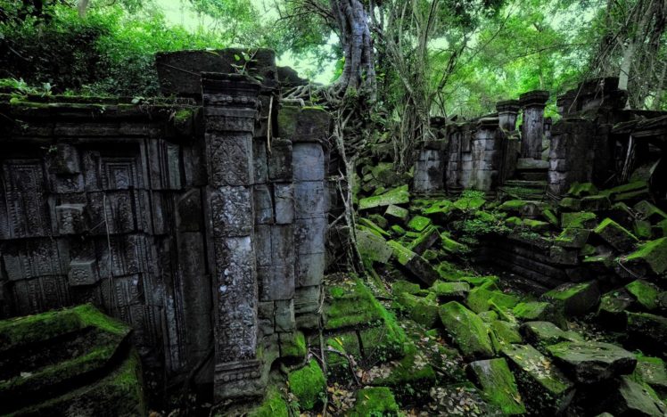 ruins, Decay, Jungle, Trees, Forest, Nature HD Wallpaper Desktop Background
