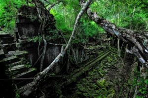 ruins, Decay, Jungle, Trees, Forest, Nature