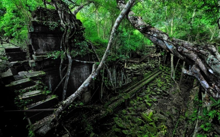 ruins, Decay, Jungle, Trees, Forest, Nature HD Wallpaper Desktop Background
