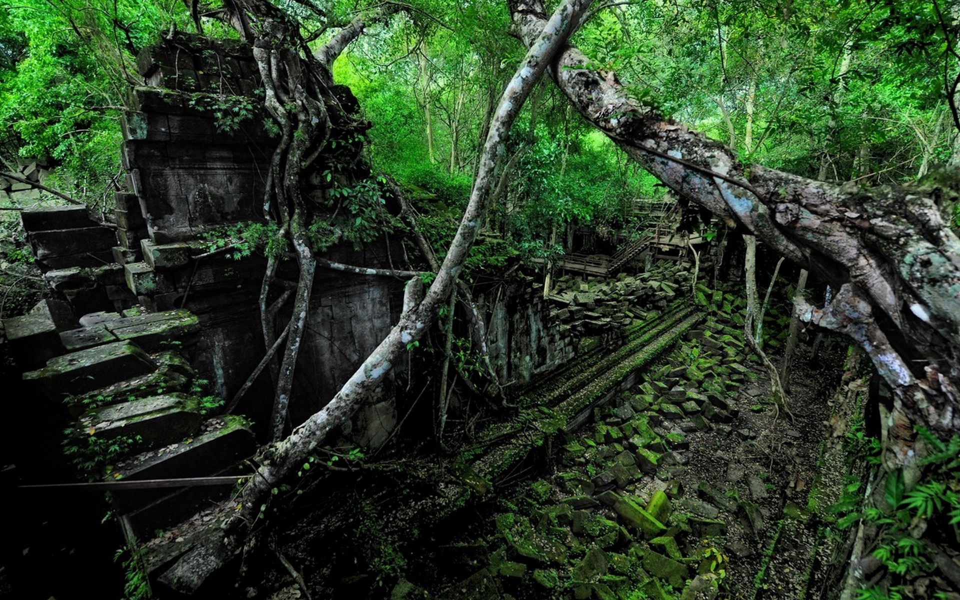 ruins, Decay, Jungle, Trees, Forest, Nature Wallpaper