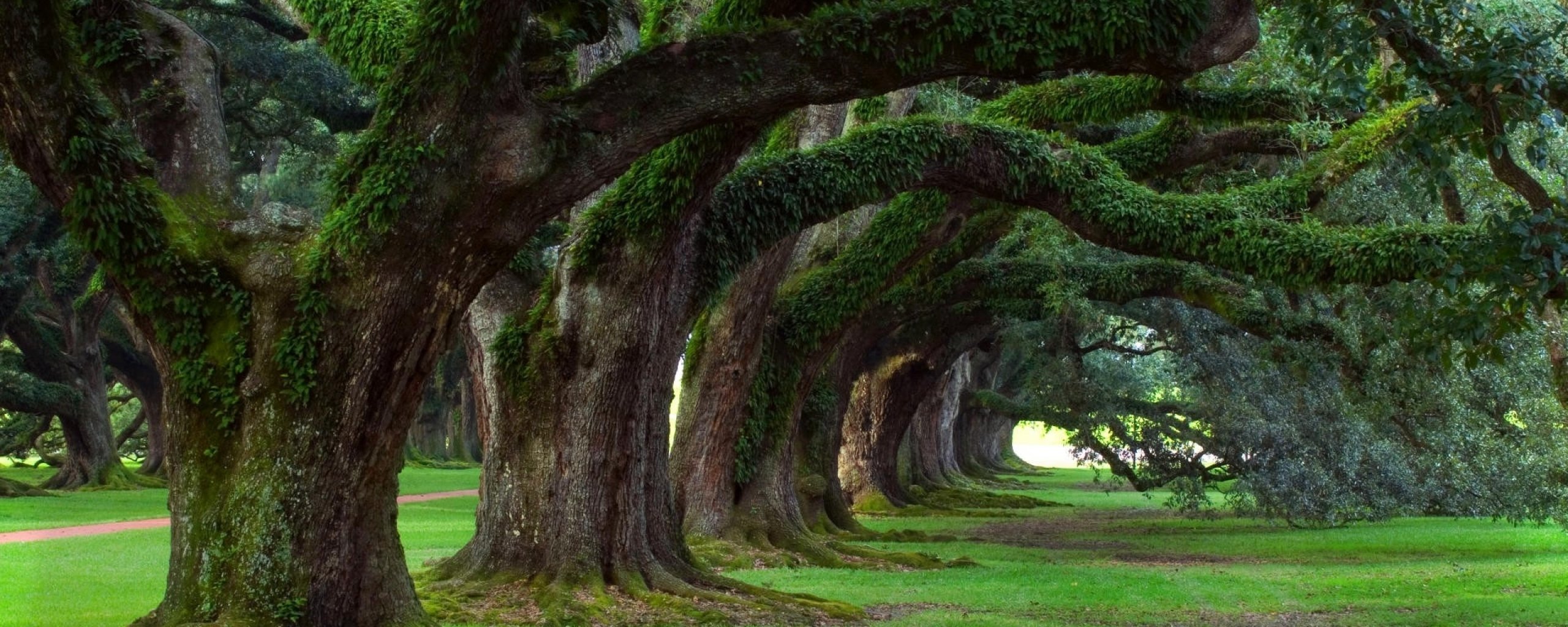 multi, Monitor, Dual, Screen, Widescreen Wallpaper