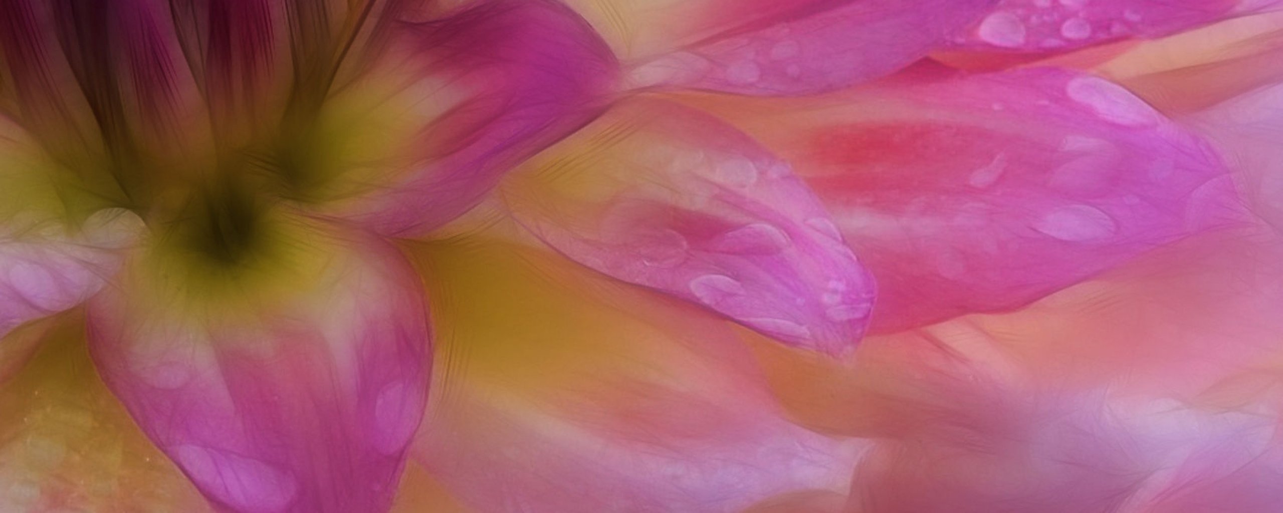 multi, Monitor, Dual, Screen, Widescreen Wallpaper