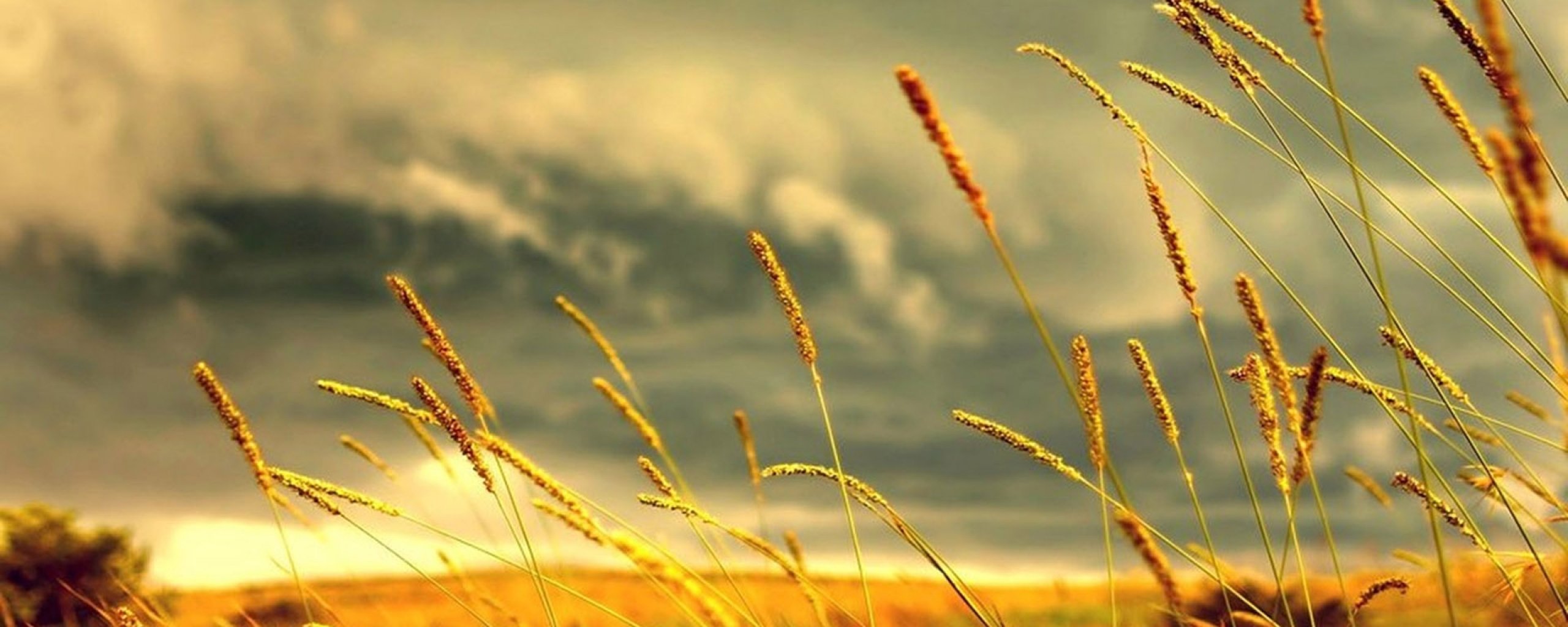 multi, Monitor, Dual, Screen, Widescreen Wallpaper